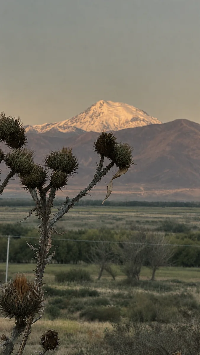 Cumbres nevadas